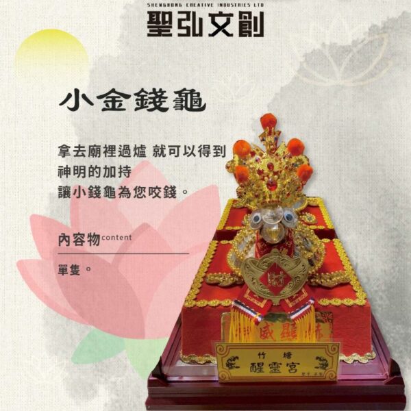 小金錢龜