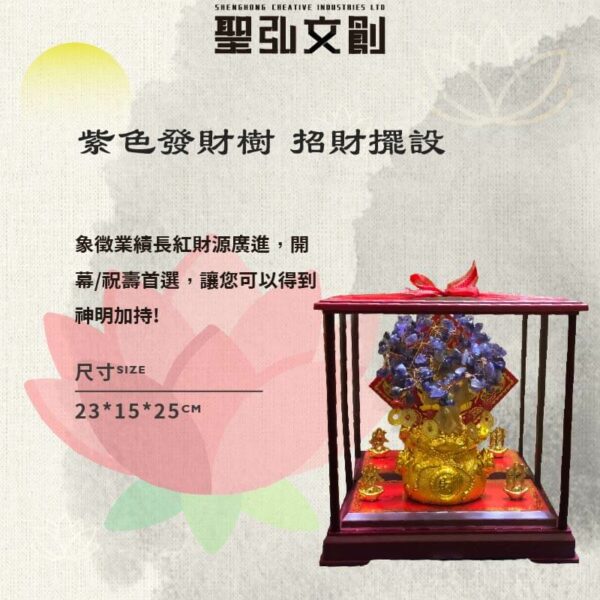 紫色發財樹